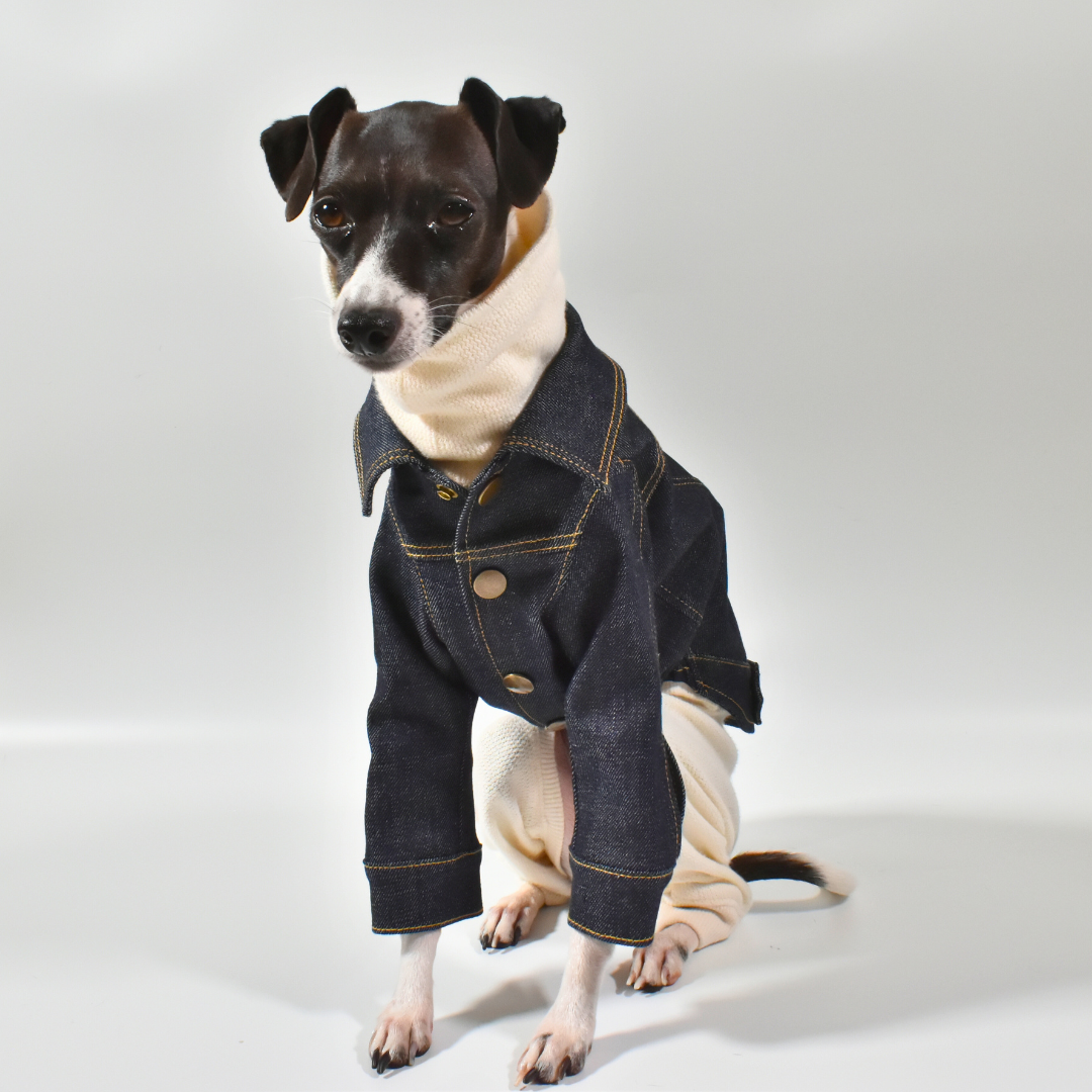 【即納】重ねても、1枚でもサマになる。冬の万能デニムジャケット。